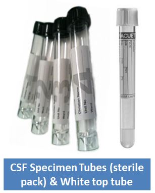 CSF + SST tubes